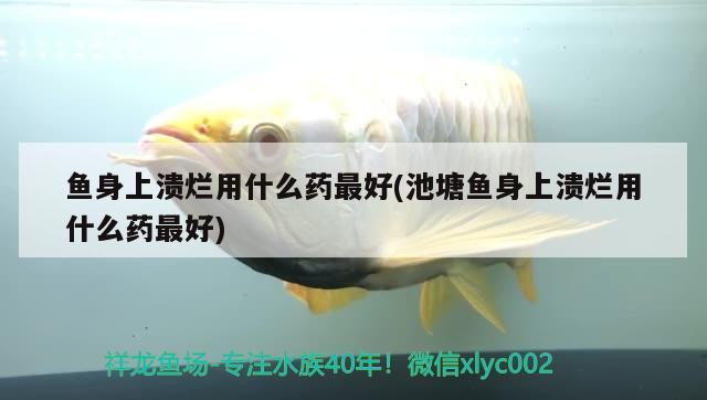 魚身上潰爛用什么藥最好(池塘魚身上潰爛用什么藥最好) 觀賞魚 第3張