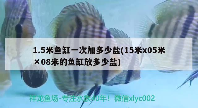 1.5米魚缸一次加多少鹽(15米x05米×08米的魚缸放多少鹽)