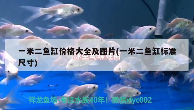 一米二魚缸價格大全及圖片(一米二魚缸標準尺寸) 七彩神仙魚