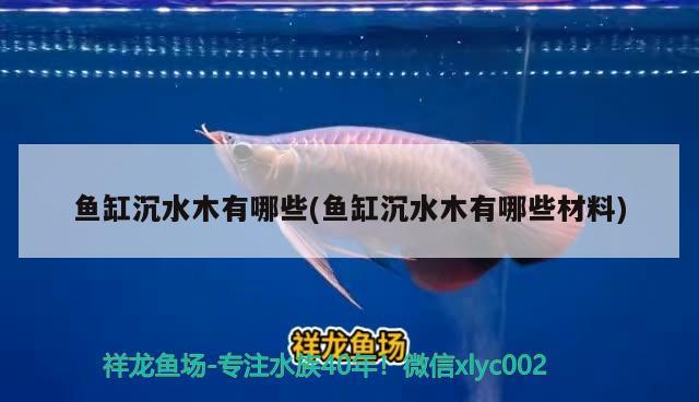 魚缸沉水木有哪些(魚缸沉水木有哪些材料) 古典過背金龍魚