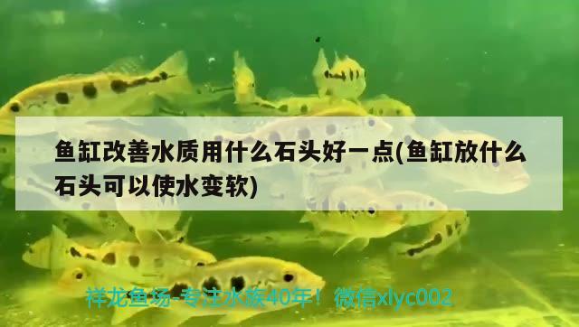 魚缸改善水質(zhì)用什么石頭好一點(diǎn)(魚缸放什么石頭可以使水變軟) 黃寬帶蝴蝶魚 第1張