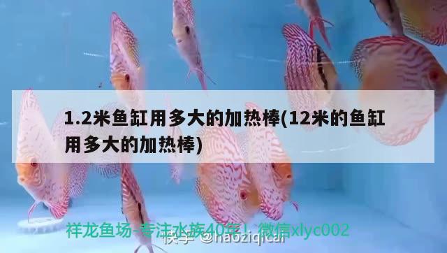 1.2米魚缸用多大的加熱棒(12米的魚缸用多大的加熱棒)