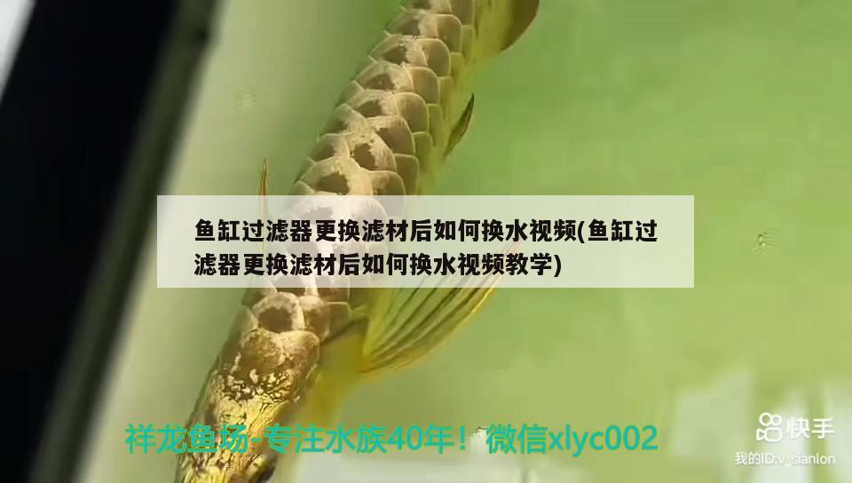 魚(yú)缸過(guò)濾器更換濾材后如何換水視頻(魚(yú)缸過(guò)濾器更換濾材后如何換水視頻教學(xué))