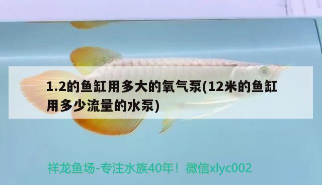 1.2的魚缸用多大的氧氣泵(12米的魚缸用多少流量的水泵)