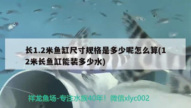 長1.2米魚缸尺寸規(guī)格是多少呢怎么算(12米長魚缸能裝多少水)