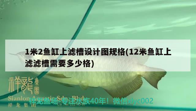 1米2魚缸上濾槽設(shè)計圖規(guī)格(12米魚缸上濾濾槽需要多少格)