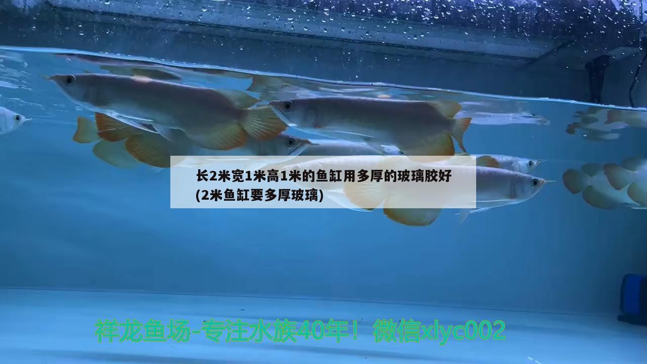 長(zhǎng)2米寬1米高1米的魚缸用多厚的玻璃膠好(2米魚缸要多厚玻璃)