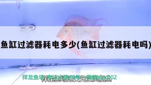 魚缸過濾器耗電多少(魚缸過濾器耗電嗎) 觀賞魚魚苗