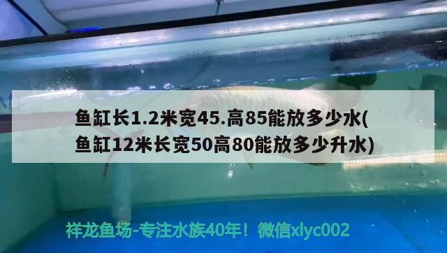 魚缸長1.2米寬45.高85能放多少水(魚缸12米長寬50高80能放多少升水)