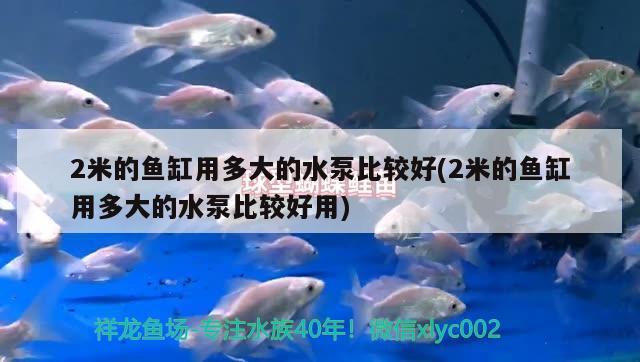 2米的魚缸用多大的水泵比較好(2米的魚缸用多大的水泵比較好用)