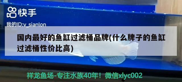 國(guó)內(nèi)最好的魚(yú)缸過(guò)濾桶品牌(什么牌子的魚(yú)缸過(guò)濾桶性價(jià)比高) 南美異型魚(yú)