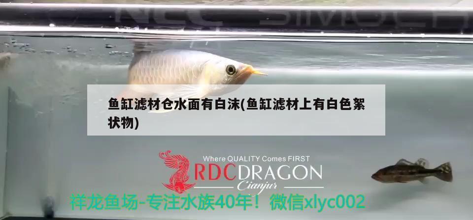 魚缸濾材倉水面有白沫(魚缸濾材上有白色絮狀物)