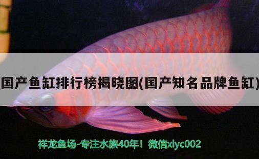 國產(chǎn)魚缸排行榜揭曉圖(國產(chǎn)知名品牌魚缸)