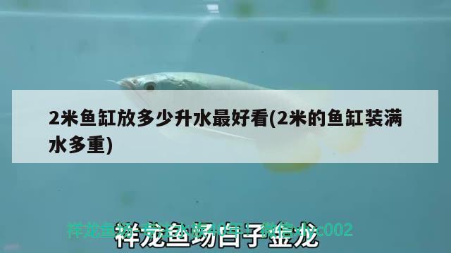 2米魚(yú)缸放多少升水最好看(2米的魚(yú)缸裝滿水多重)