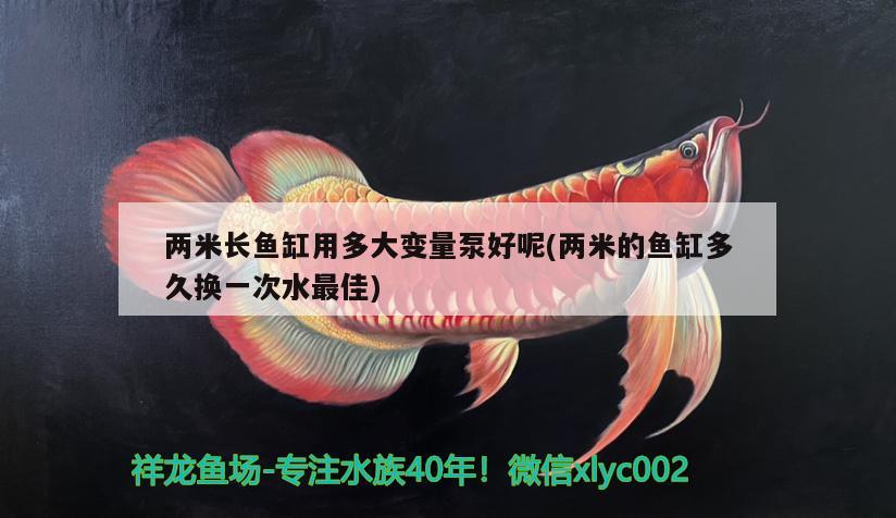 兩米長魚缸用多大變量泵好呢(兩米的魚缸多久換一次水最佳) 養(yǎng)魚知識