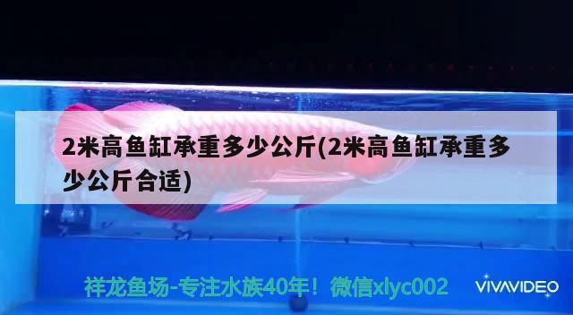 2米高魚(yú)缸承重多少公斤(2米高魚(yú)缸承重多少公斤合適) 黑白雙星魚(yú)