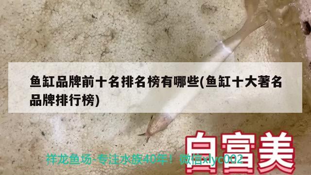 魚缸品牌前十名排名榜有哪些(魚缸十大著名品牌排行榜)