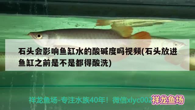 石頭會(huì)影響魚缸水的酸堿度嗎視頻(石頭放進(jìn)魚缸之前是不是都得酸洗)