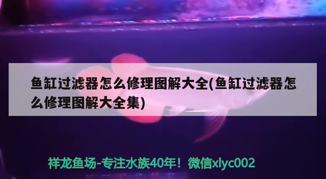 魚(yú)缸過(guò)濾器怎么修理圖解大全(魚(yú)缸過(guò)濾器怎么修理圖解大全集) 可麗愛(ài)魚(yú)缸