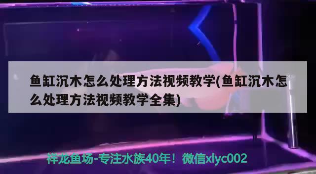 魚缸沉木怎么處理方法視頻教學(魚缸沉木怎么處理方法視頻教學全集)