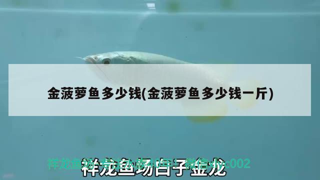 金菠蘿魚多少錢(金菠蘿魚多少錢一斤)