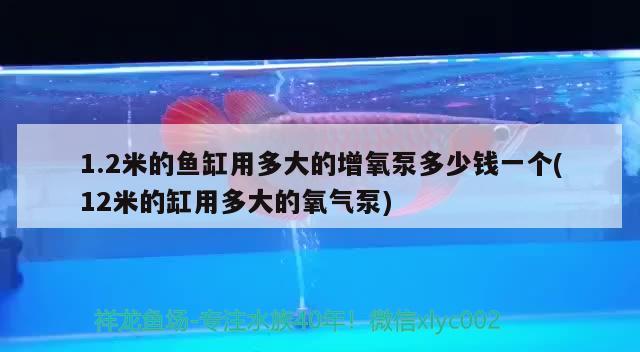 1.2米的魚(yú)缸用多大的增氧泵多少錢(qián)一個(gè)(12米的缸用多大的氧氣泵)