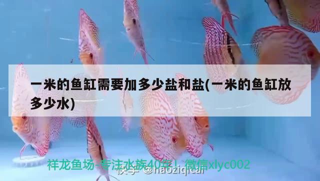 一米的魚缸需要加多少鹽和鹽(一米的魚缸放多少水) 彩鰈魚缸（彩蝶魚缸）