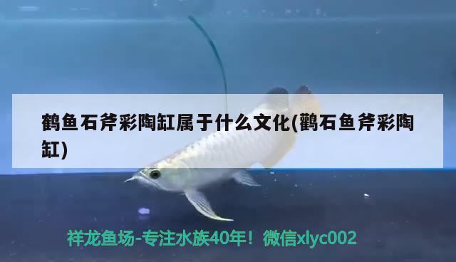 鶴魚石斧彩陶缸屬于什么文化(鸛石魚斧彩陶缸)