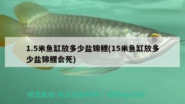 1.5米魚缸放多少鹽錦鯉(15米魚缸放多少鹽錦鯉會(huì)死)