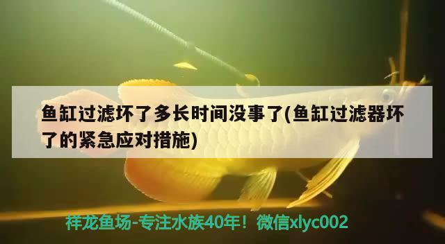 魚缸過濾壞了多長時間沒事了(魚缸過濾器壞了的緊急應對措施) iwish愛唯希品牌魚缸 第2張