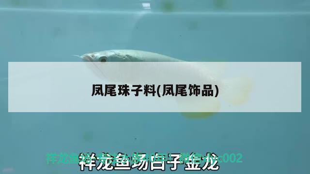 鳳尾珠子料(鳳尾飾品) 觀賞魚