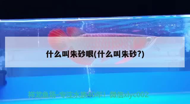 什么叫朱砂眼(什么叫朱砂?) 觀賞魚