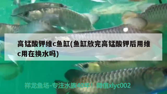 高錳酸鉀維c魚(yú)缸(魚(yú)缸放完高錳酸鉀后用維c用在換水嗎) 祥龍進(jìn)口元寶鳳凰魚(yú)