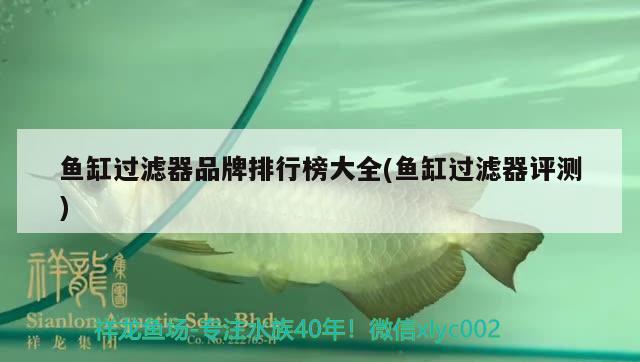 魚(yú)缸過(guò)濾器品牌排行榜大全(魚(yú)缸過(guò)濾器評(píng)測(cè))