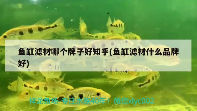 魚缸濾材哪個(gè)牌子好知乎(魚缸濾材什么品牌好)