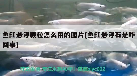 魚缸懸浮顆粒怎么用的圖片(魚缸懸浮石是咋回事) 觀賞魚飼料