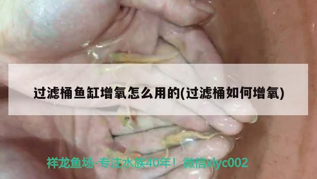 過濾桶魚缸增氧怎么用的(過濾桶如何增氧) 錦鯉池魚池建設(shè)