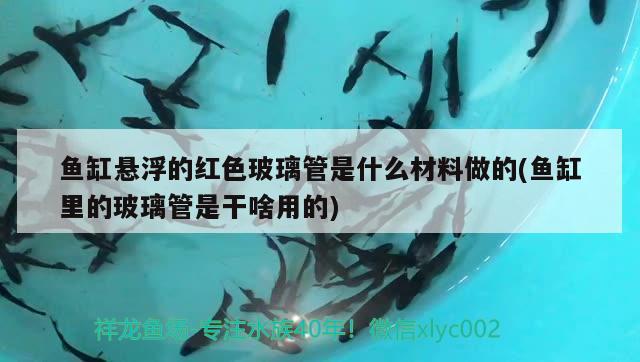 魚缸懸浮的紅色玻璃管是什么材料做的(魚缸里的玻璃管是干啥用的)