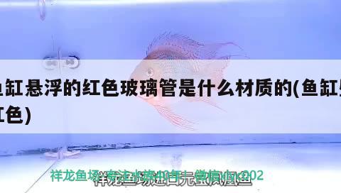 魚缸懸浮的紅色玻璃管是什么材質(zhì)的(魚缸壁紅色)