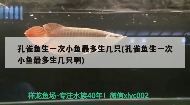 孔雀魚生一次小魚最多生幾只(孔雀魚生一次小魚最多生幾只啊)