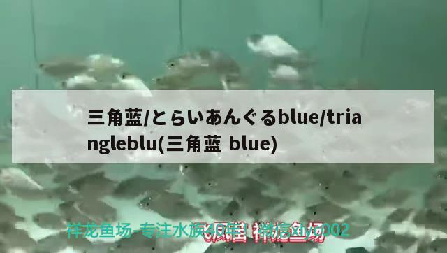 三角藍/とらいあんぐるblue/triangleblu(三角藍blue)