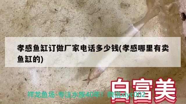 孝感魚缸訂做廠家電話多少錢(孝感哪里有賣魚缸的)