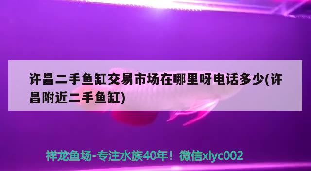 許昌二手魚缸交易市場在哪里呀電話多少(許昌附近二手魚缸) 魚缸水質穩(wěn)定劑