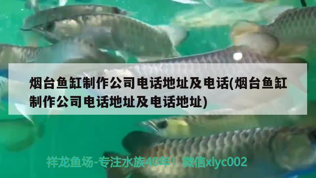 煙臺魚缸制作公司電話地址及電話(煙臺魚缸制作公司電話地址及電話地址) 魚糧魚藥