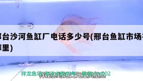 邢臺(tái)沙河魚缸廠電話多少號(hào)(邢臺(tái)魚缸市場(chǎng)在哪里) 沖氧泵