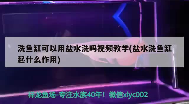 洗魚缸可以用鹽水洗嗎視頻教學(鹽水洗魚缸起什么作用) 二氧化碳設備