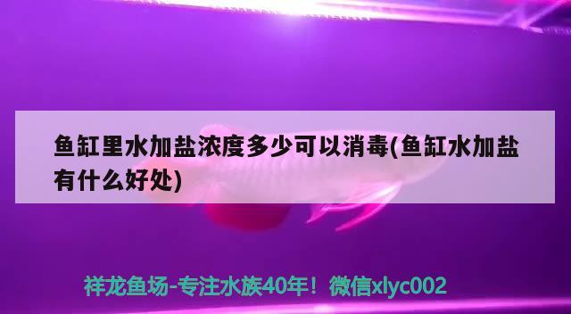 魚缸里水加鹽濃度多少可以消毒(魚缸水加鹽有什么好處) 白化巴西龜（白巴）