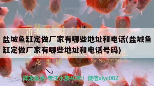 鹽城魚缸定做廠家有哪些地址和電話(鹽城魚缸定做廠家有哪些地址和電話號(hào)碼)