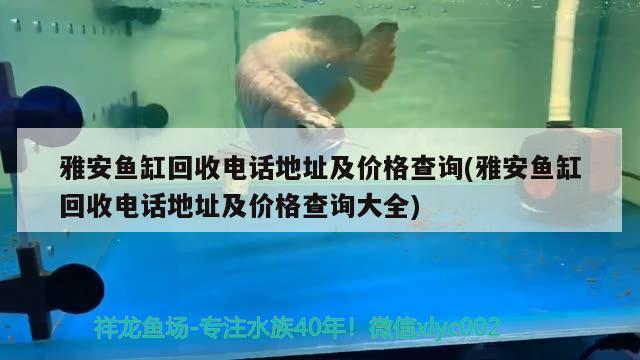 雅安魚缸回收電話地址及價格查詢(雅安魚缸回收電話地址及價格查詢大全) 帝王血鉆魚