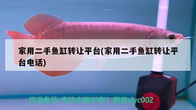 家用二手魚缸轉讓平臺(家用二手魚缸轉讓平臺電話)